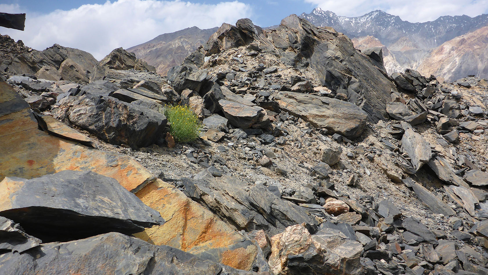 Усойский завал, image of landscape/habitat.