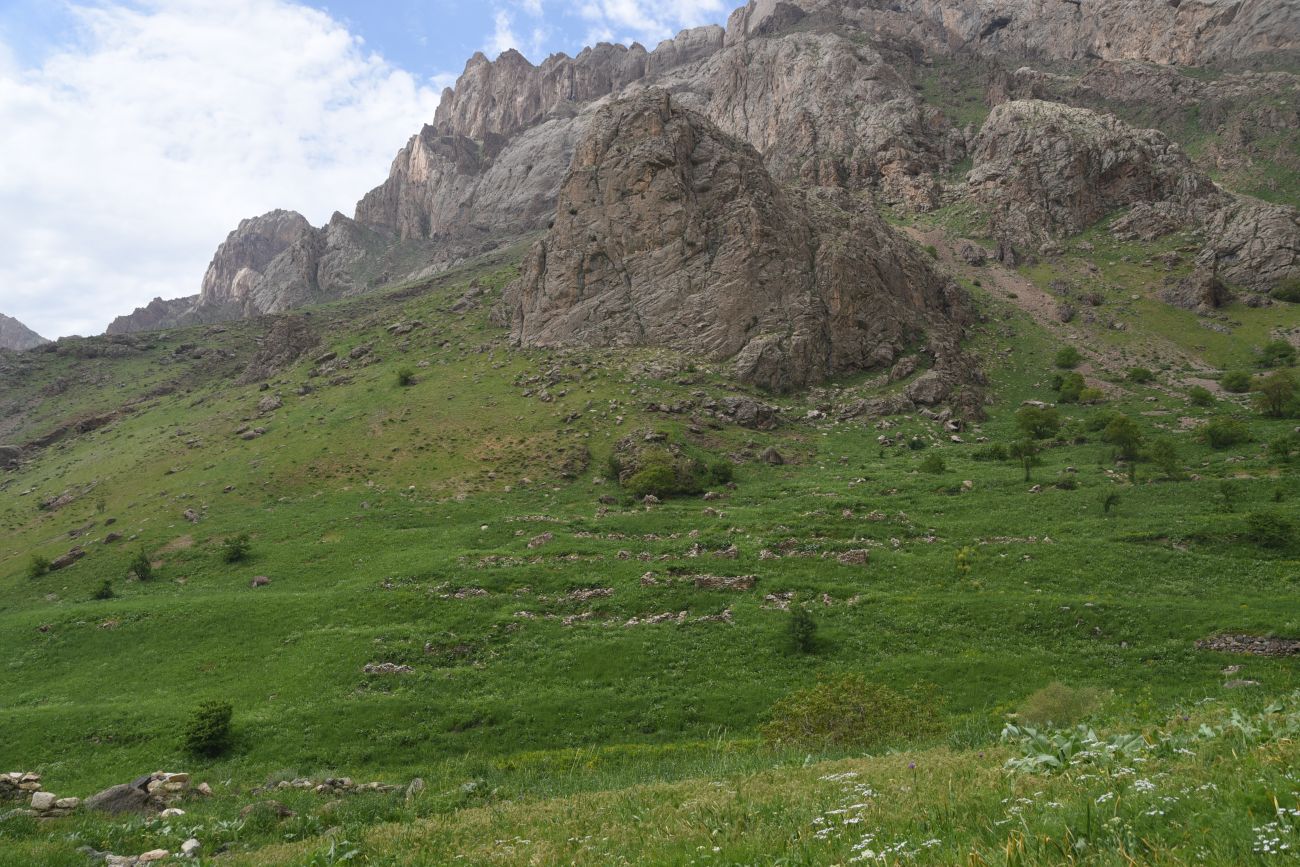 Несторианская церковь, image of landscape/habitat.