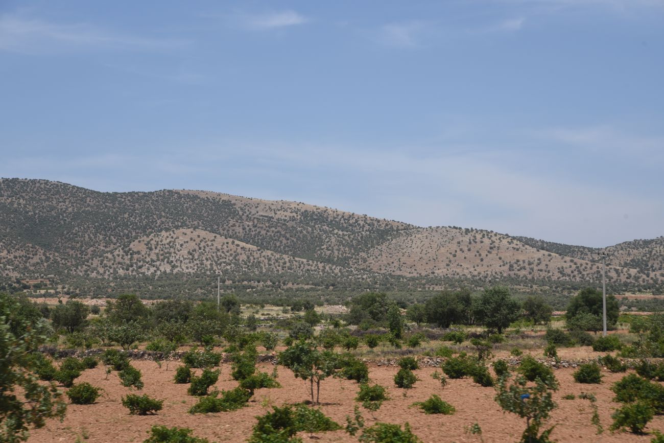 Избирак (Заз), image of landscape/habitat.