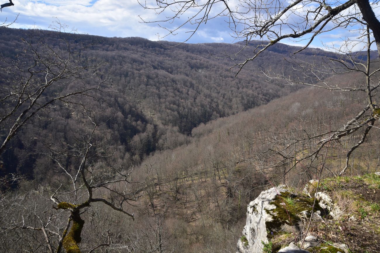 Долина реки Аминовка, image of landscape/habitat.