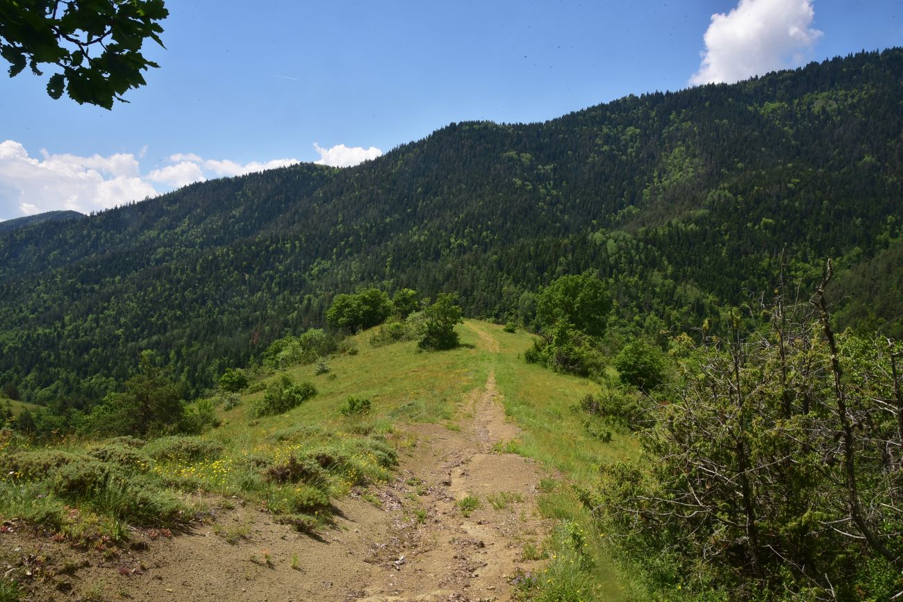 Цинубанская баня, image of landscape/habitat.