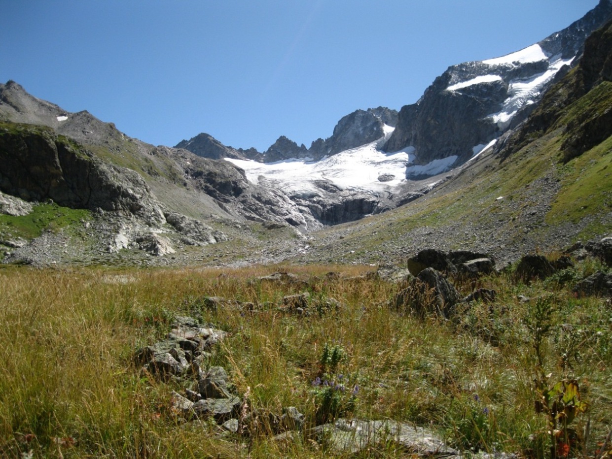 Ущелье реки Даут, image of landscape/habitat.