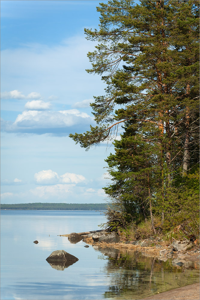 Клим Нос, image of landscape/habitat.