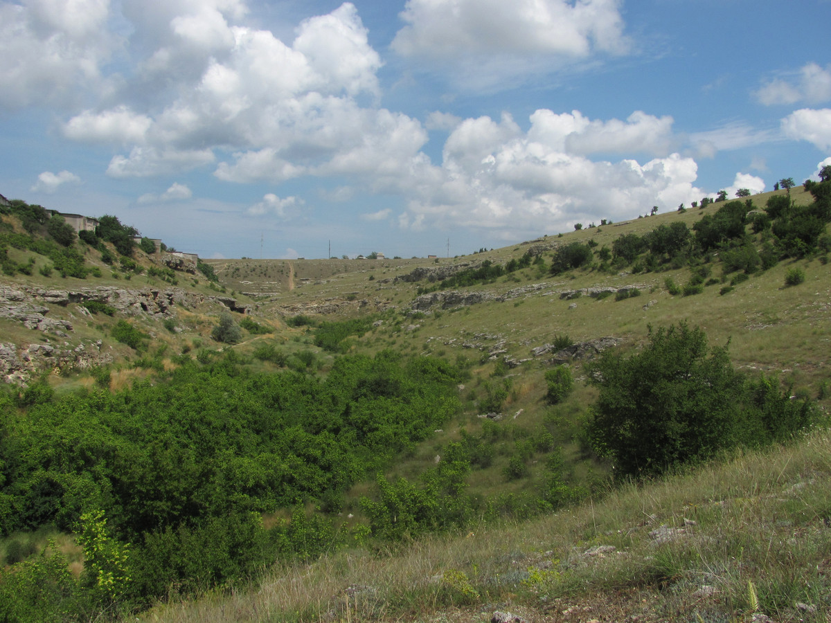 Сарандинакина балка, изображение ландшафта.