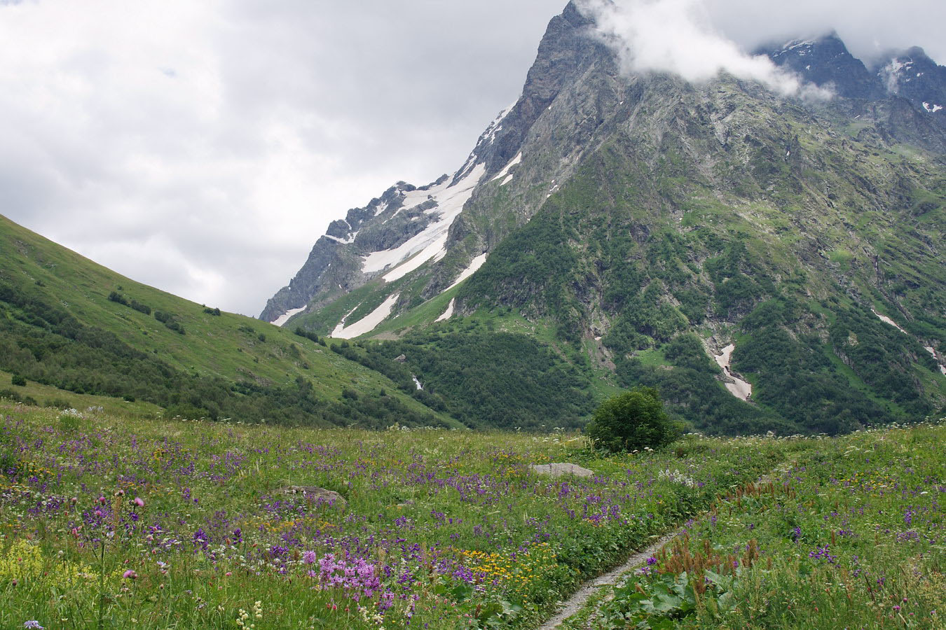 Долина реки Домбай-Ульген, image of landscape/habitat.