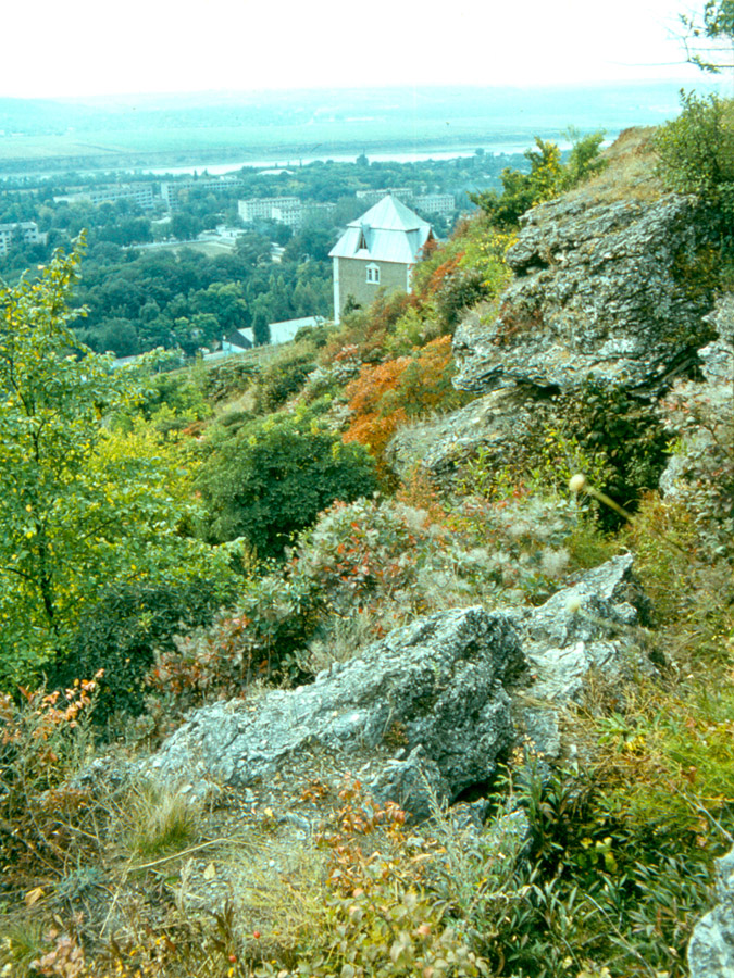 Сторожка у Каменки, image of landscape/habitat.