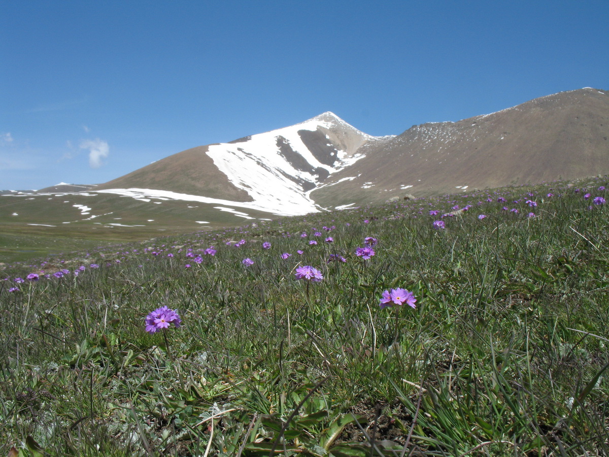 Перевал Алабель, image of landscape/habitat.