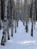 Верхняя Терраса и окрестности, image of landscape/habitat.