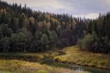 Кын и его окрестности, image of landscape/habitat.