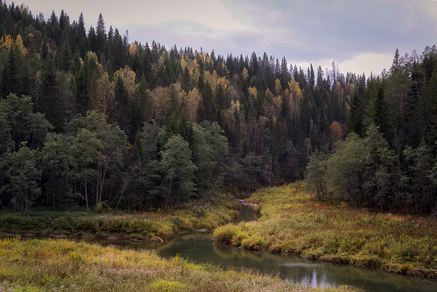 Кын и его окрестности, image of landscape/habitat.