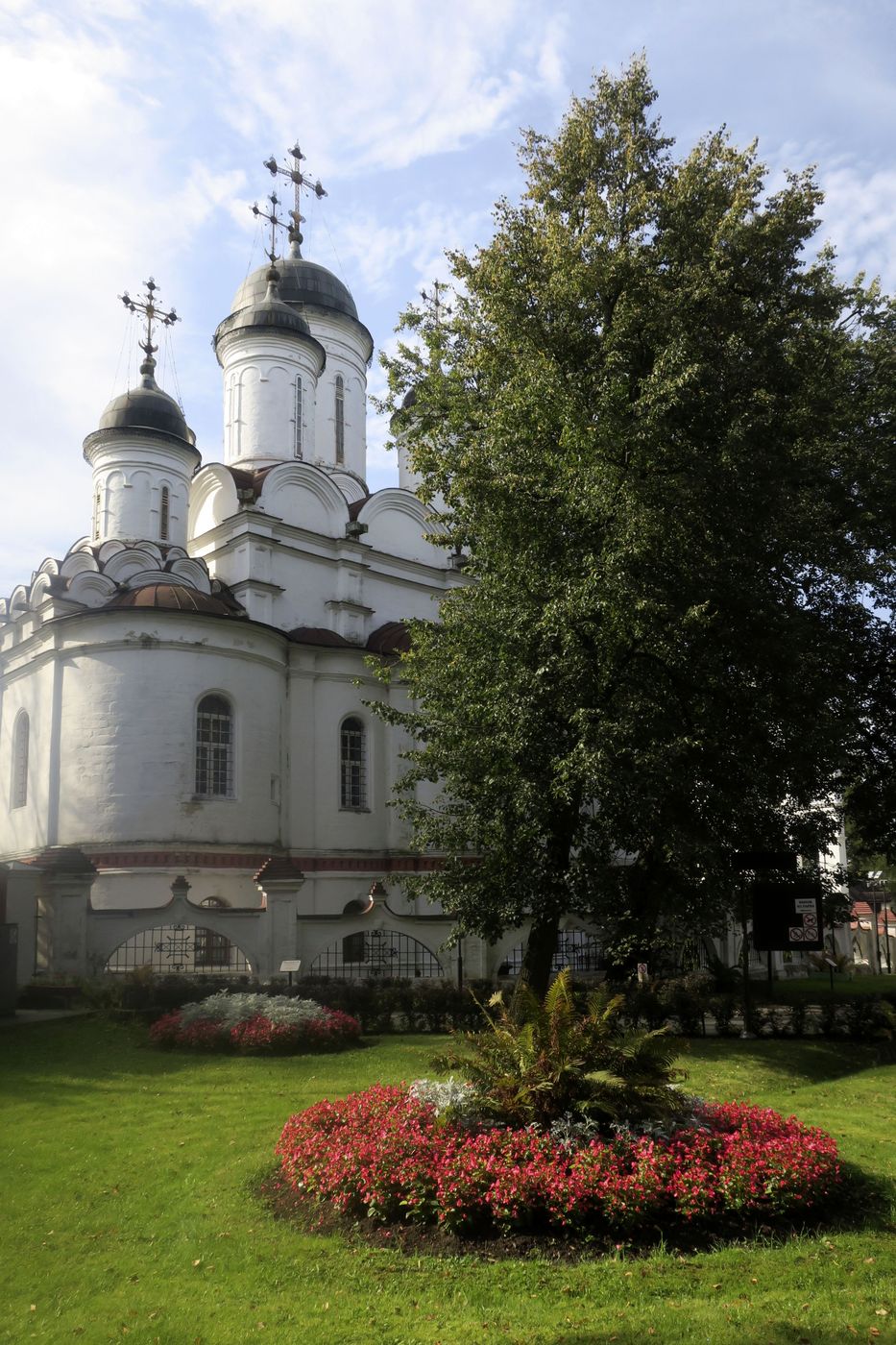 Большие Вязёмы, image of landscape/habitat.