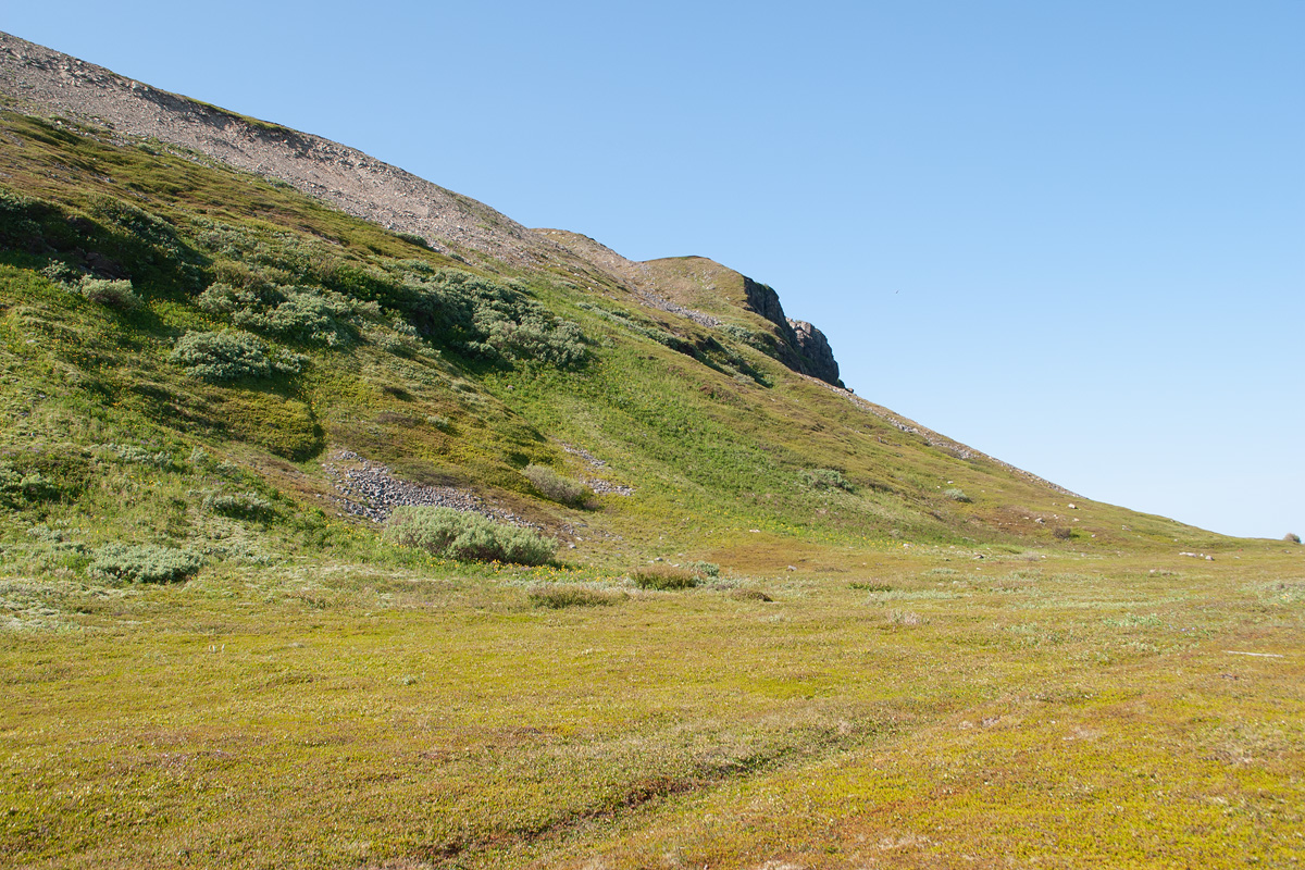 Восточный Кильдин, image of landscape/habitat.