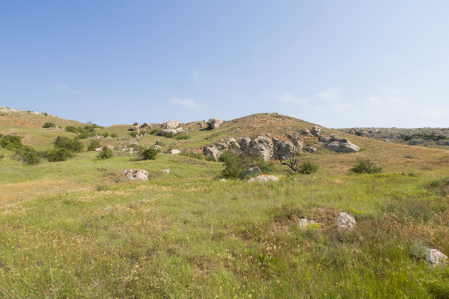 Казантип, image of landscape/habitat.