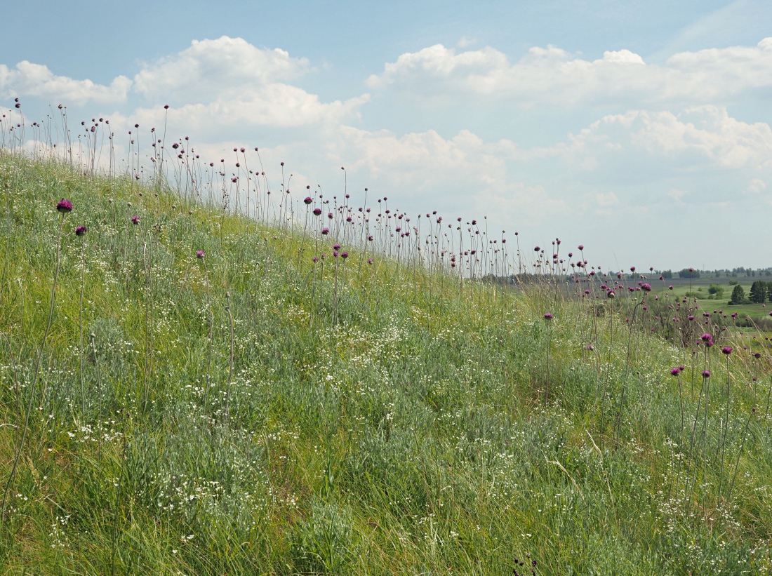 Долина реки Бирля и окрестности, image of landscape/habitat.