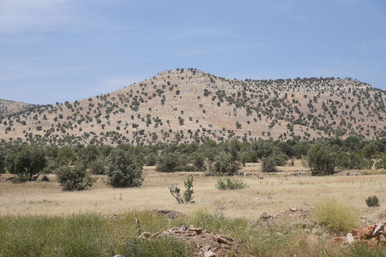 Избирак (Заз), image of landscape/habitat.