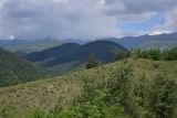Цинубанская баня, image of landscape/habitat.