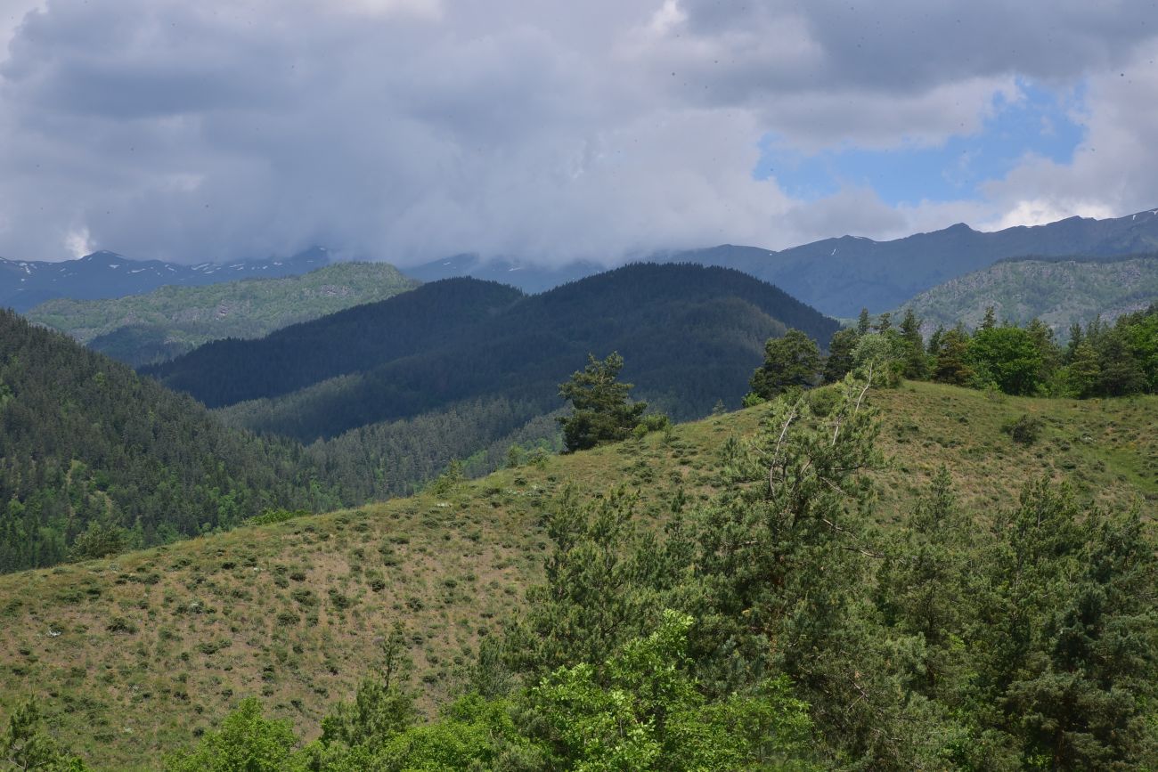 Цинубанская баня, image of landscape/habitat.