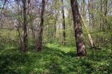 Изображение ландшафта