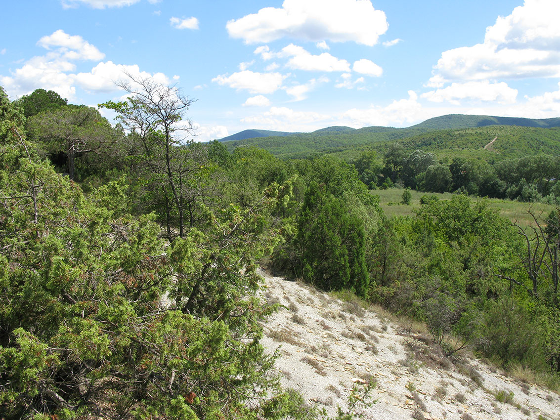 Окрестности Сукко, image of landscape/habitat.