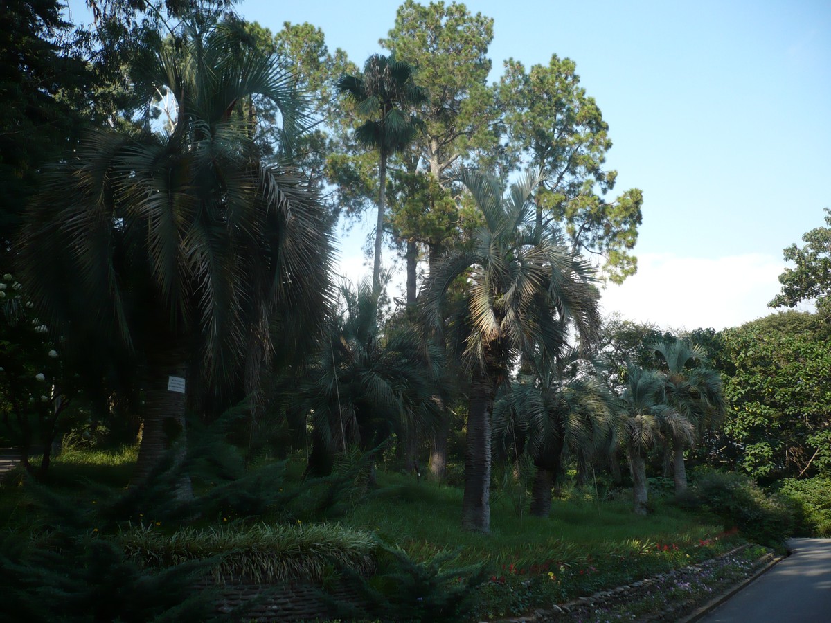Мцване Концхи, image of landscape/habitat.