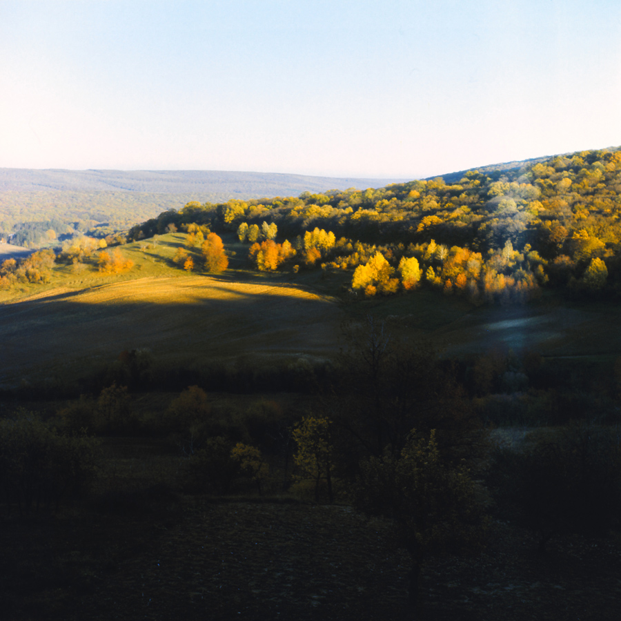 Окрестности Каприян (Кодры), image of landscape/habitat.