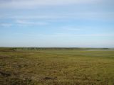 Image of landscape