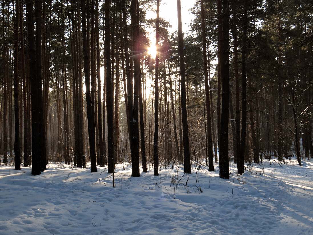 Верхняя Терраса и окрестности, image of landscape/habitat.