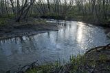 Пуховая и окрестности, image of landscape/habitat.