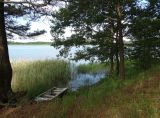 Landscape image