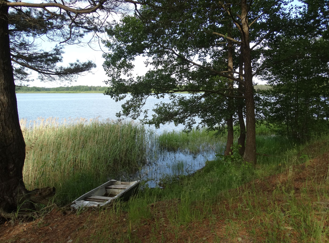 Пустынь, image of landscape/habitat.