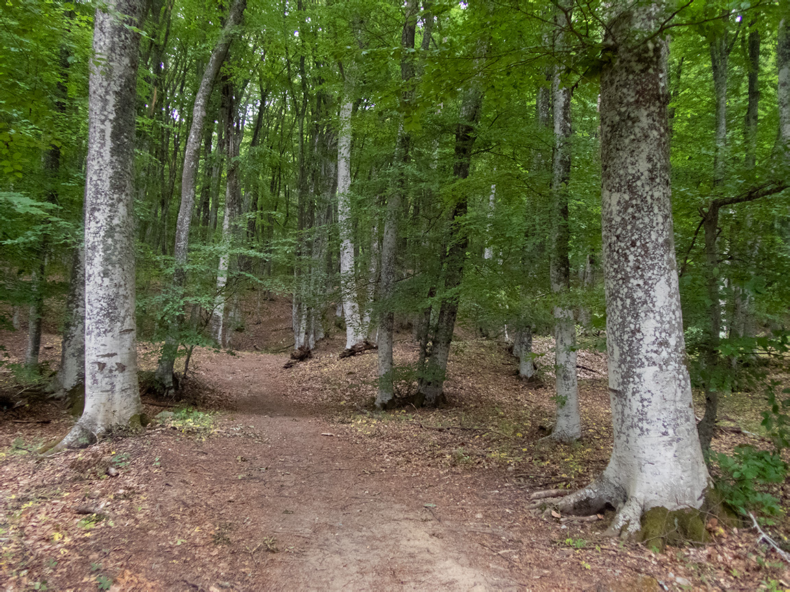 Ангарский перевал, image of landscape/habitat.