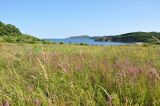 Остров Путятина, image of landscape/habitat.