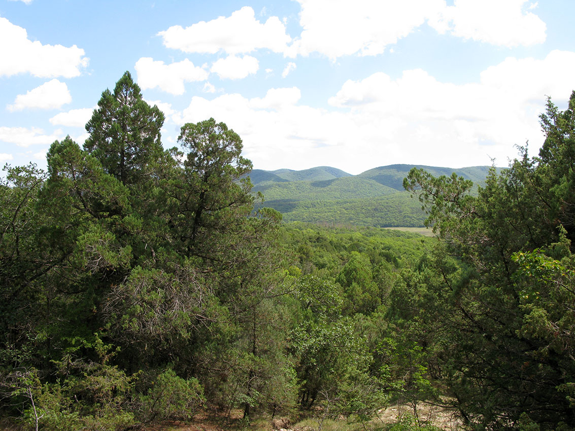 Окрестности Сукко, image of landscape/habitat.