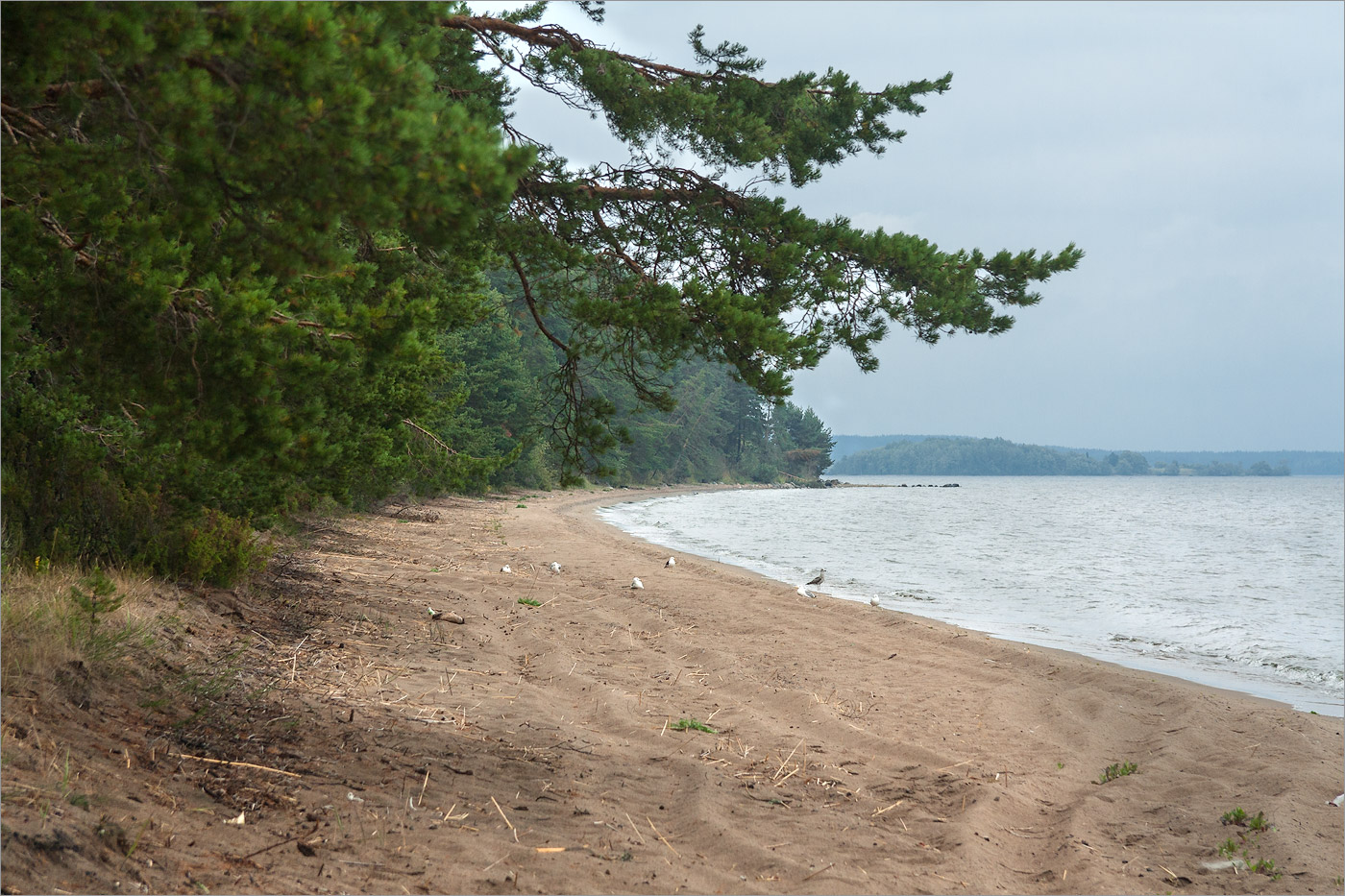 Клим Нос, image of landscape/habitat.