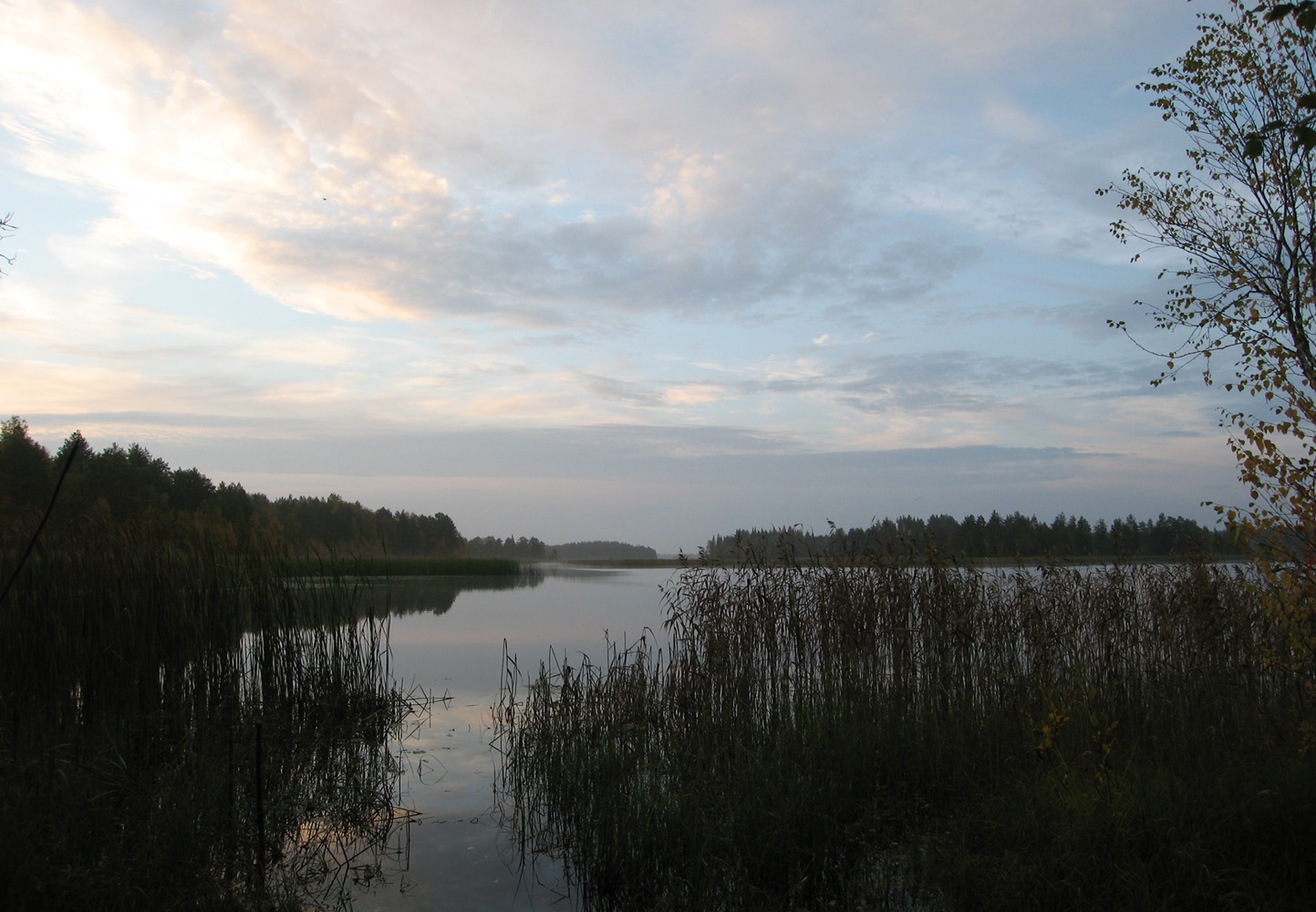 озеро Талто, image of landscape/habitat.