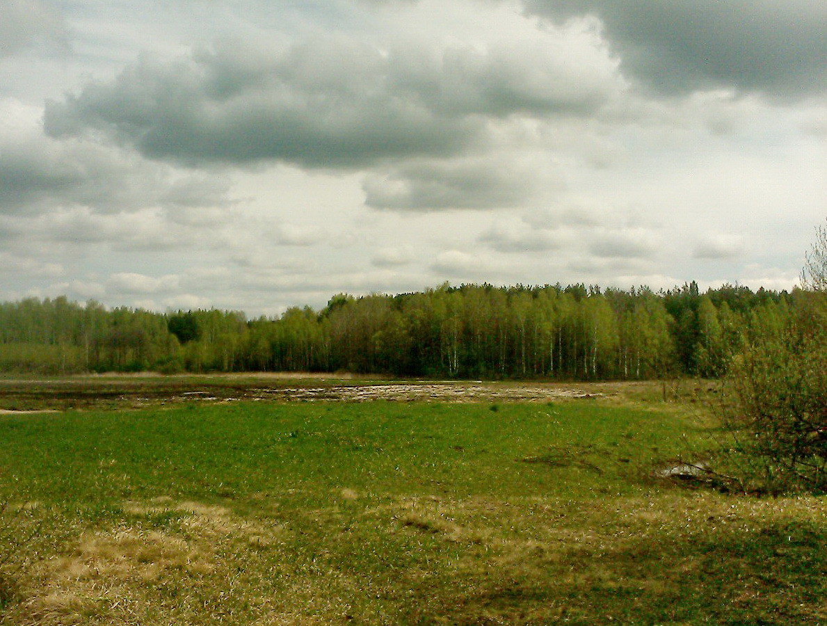 Ивановка, image of landscape/habitat.