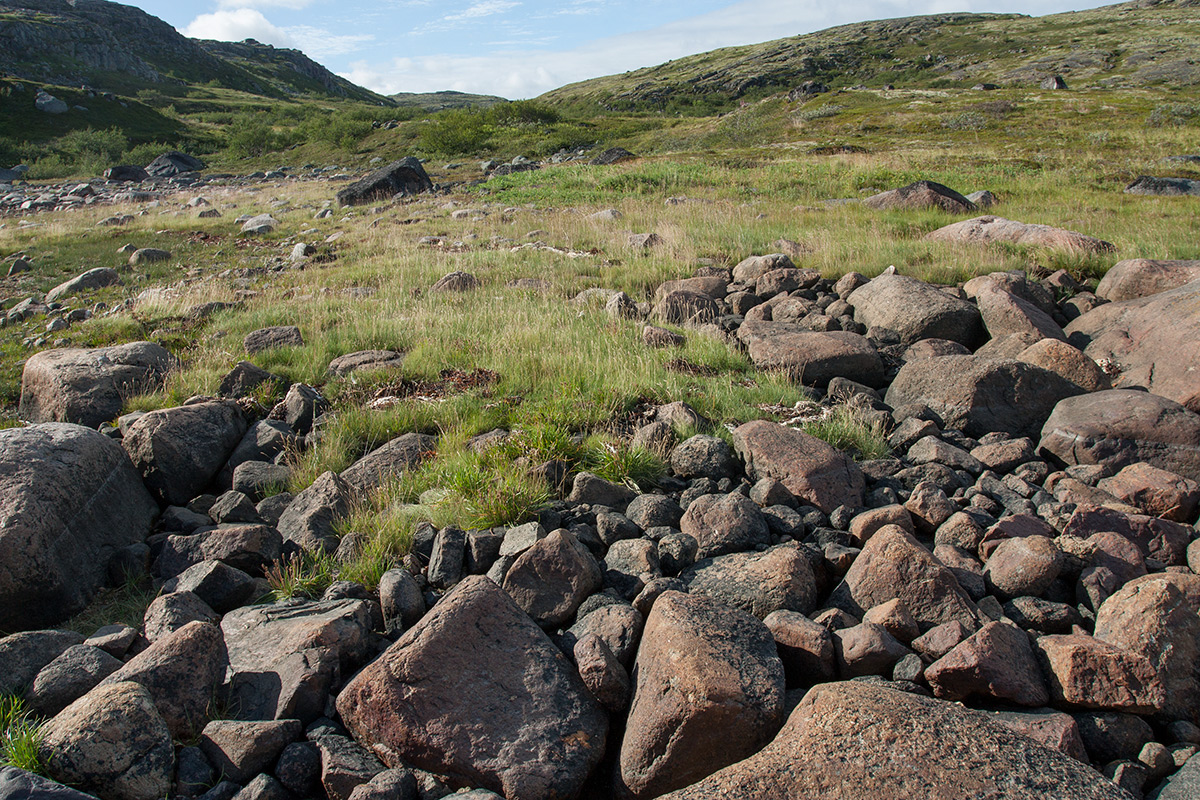 Устье Столбового ручья, image of landscape/habitat.