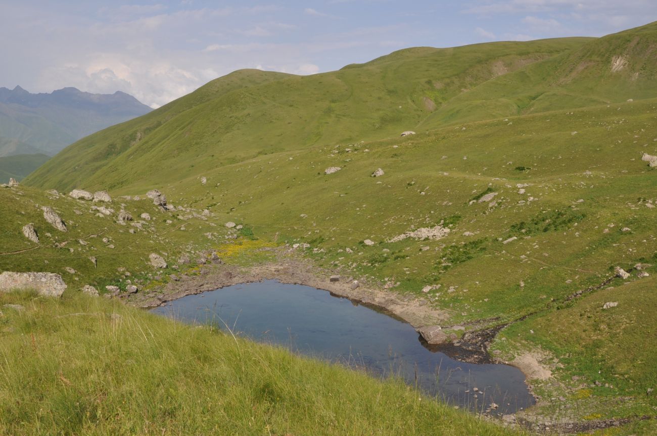 Зелёное Абуделаури и окрестности, image of landscape/habitat.