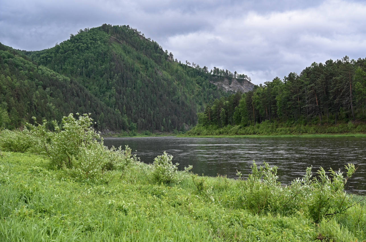 Долина реки Мана, image of landscape/habitat.