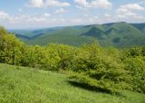 Гора Солдатская, изображение ландшафта.