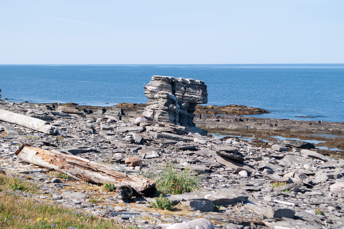 Восточный Кильдин, image of landscape/habitat.