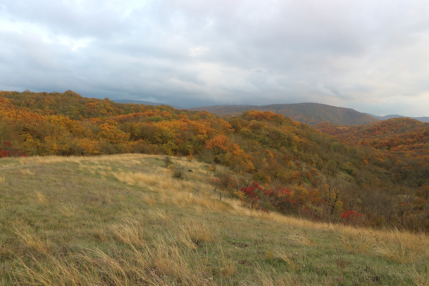 Вершина 309, image of landscape/habitat.
