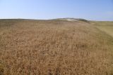 Image of landscape