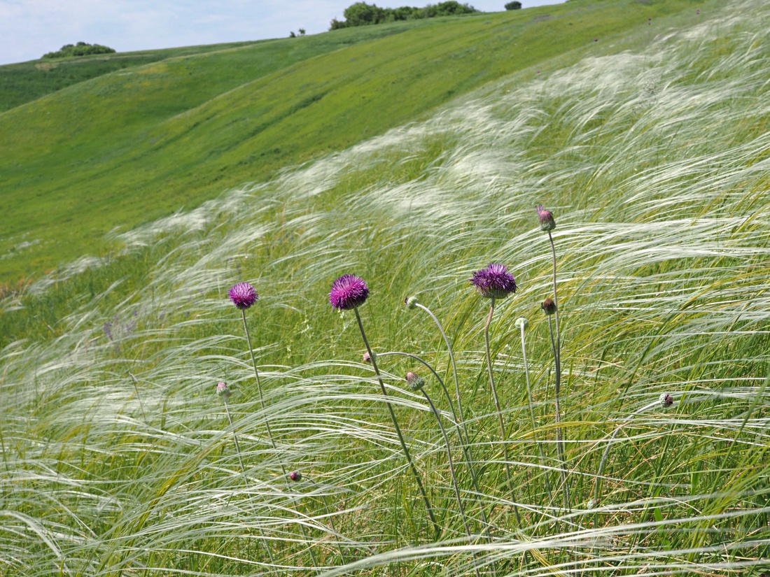 Долина реки Бирля и окрестности, image of landscape/habitat.