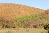 Image of landscape