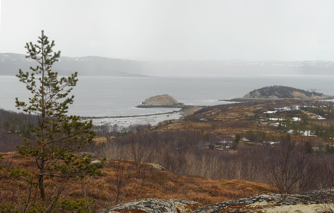 Губа Грязная, image of landscape/habitat.