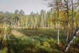 Image of landscape