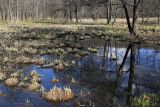 Image of landscape