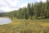 Image of landscape