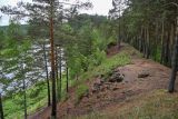 Долина реки Мана, image of landscape/habitat.